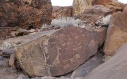 in der Umgebung von Twyfelfontein sind insgesamt über 2500 Bilder zu finden