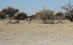1907 wurden 99.526 km²  zum Naturschutzgebiet erklärte
