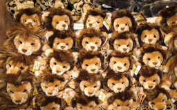 NAMIBIA - ist 2,3 x grösser als Deutschland und hat ca.  2.3 Mio Einwohner